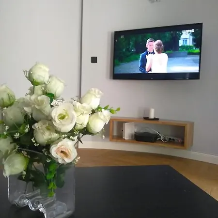 Lipowa 18a Apartment *